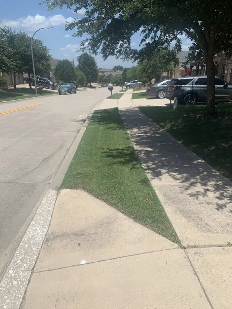 Trusted landscape installation with custom design in Saginaw, TX by Lawn & Loaded