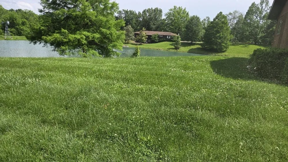 Professional landscaping services experts serving Anna, IL - Lawn & Order