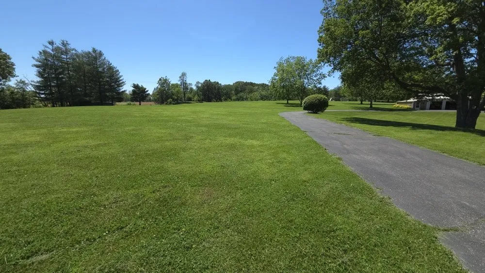 Custom yard cleanup service in Anna, IL - Lawn & Order