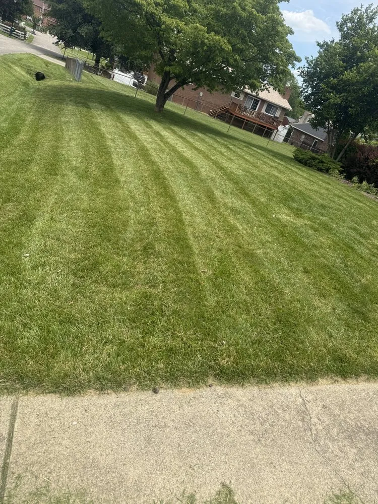 Custom landscape installation for residential properties across Ashland, KY - Lawn & Order