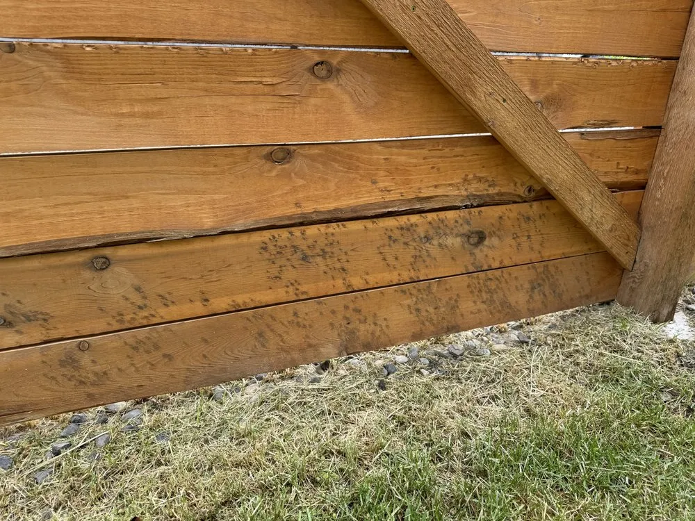 Custom yard maintenance near you in Bozeman, MT by Lawn & Order