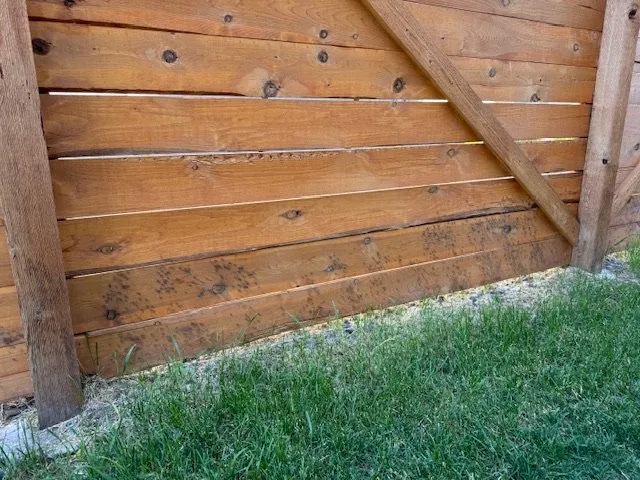 Professional yard cleanup service in Bozeman, MT by Lawn & Order