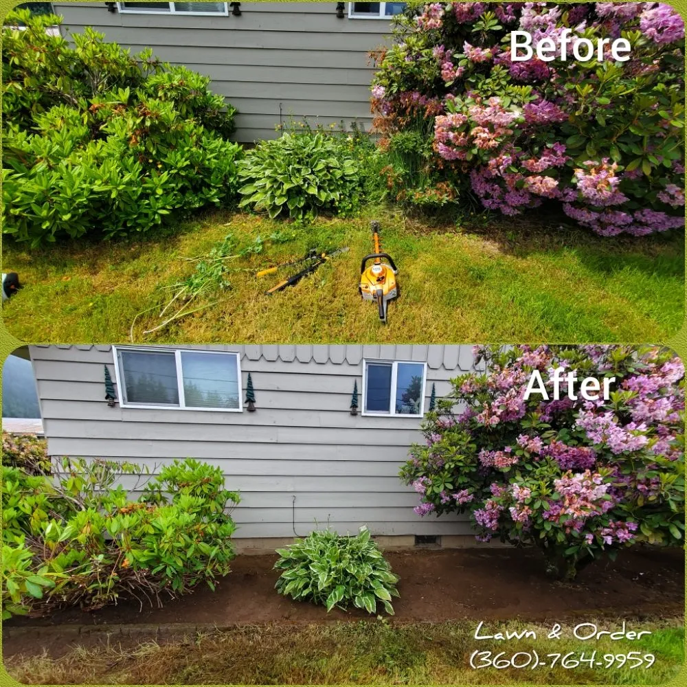 Top-rated landscaping services experts serving Centralia, WA - Lawn & Order