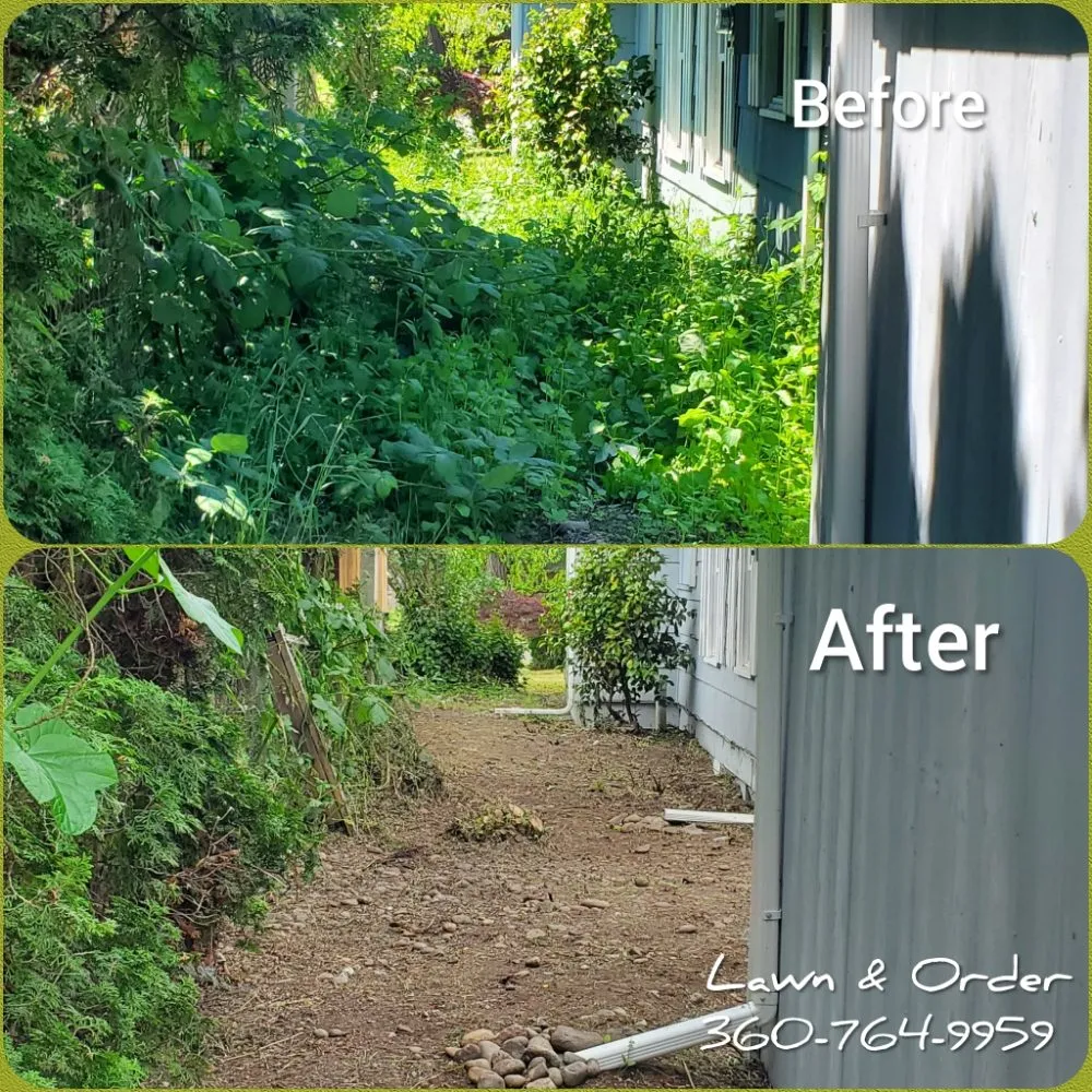 Local yard maintenance in Centralia, WA - Lawn & Order