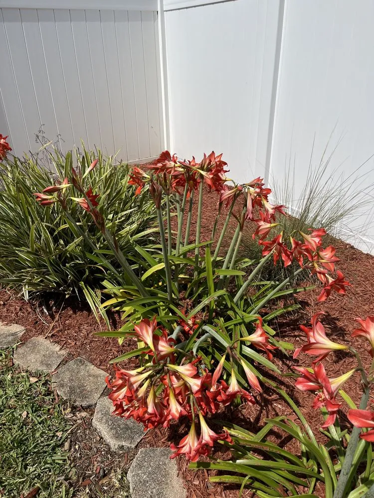 Professional outdoor landscaping in Citrus Hills, FL by Lawn & Order