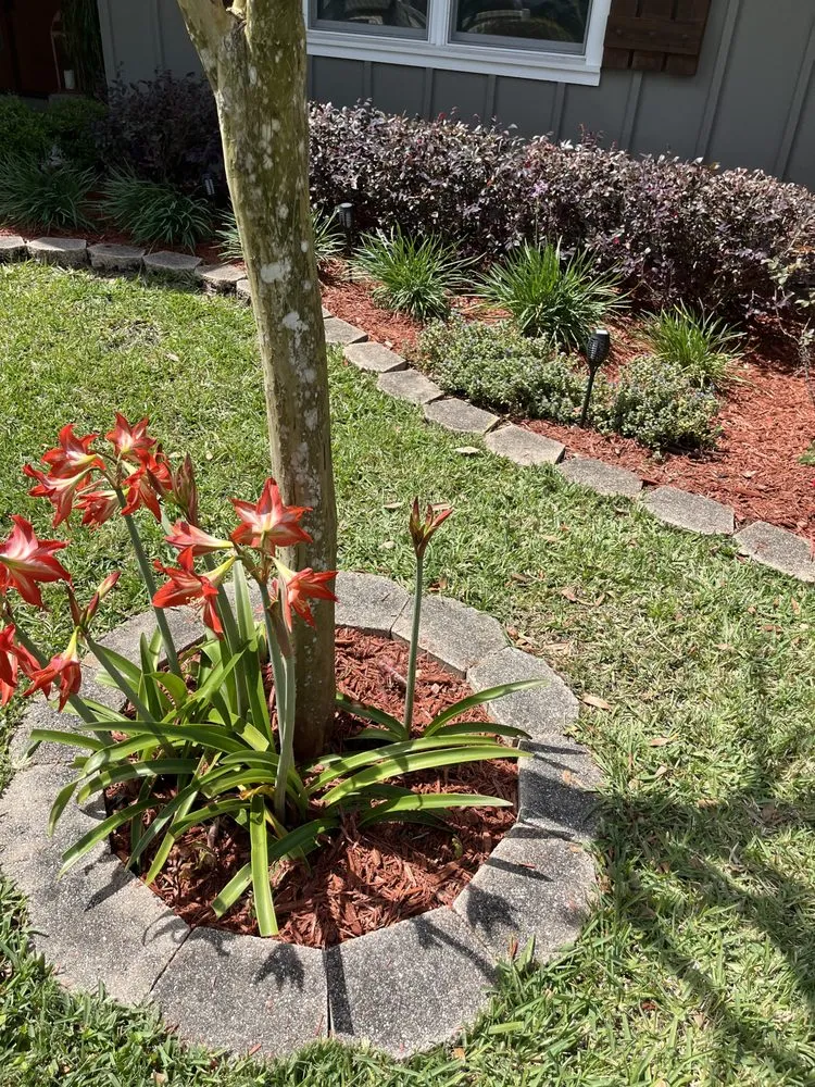 Top-rated lawn care service experts serving Citrus Hills, FL - Lawn & Order
