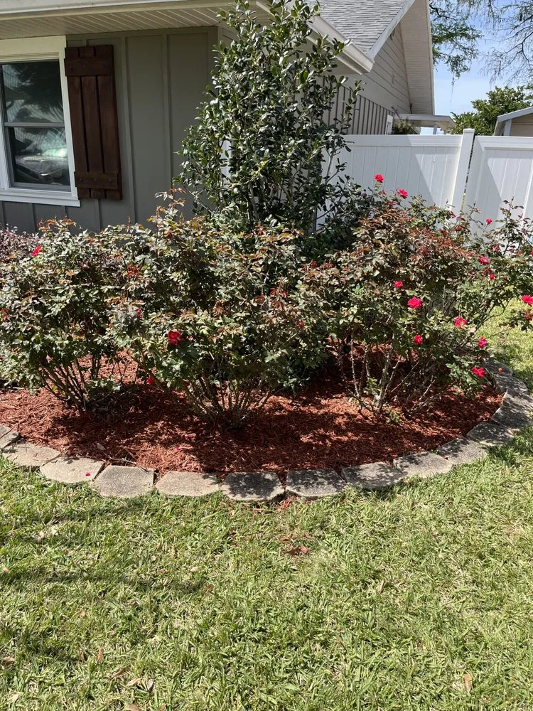 Top-rated yard maintenance for beautiful yards in Citrus Hills, FL by Lawn & Order