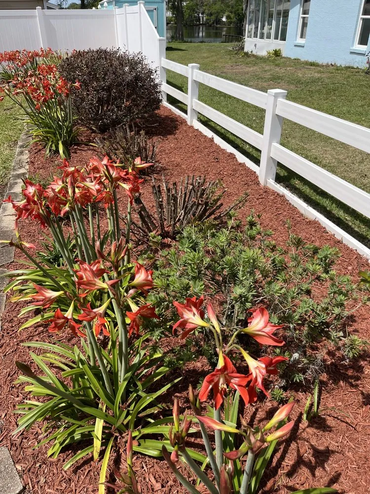 Top-rated lawn care service in Citrus Hills, FL - Lawn & Order