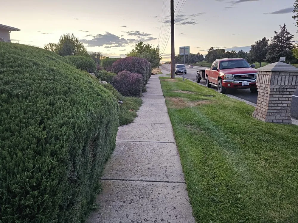 Top-rated lawn care service in Farmington, UT by Lawn & Order