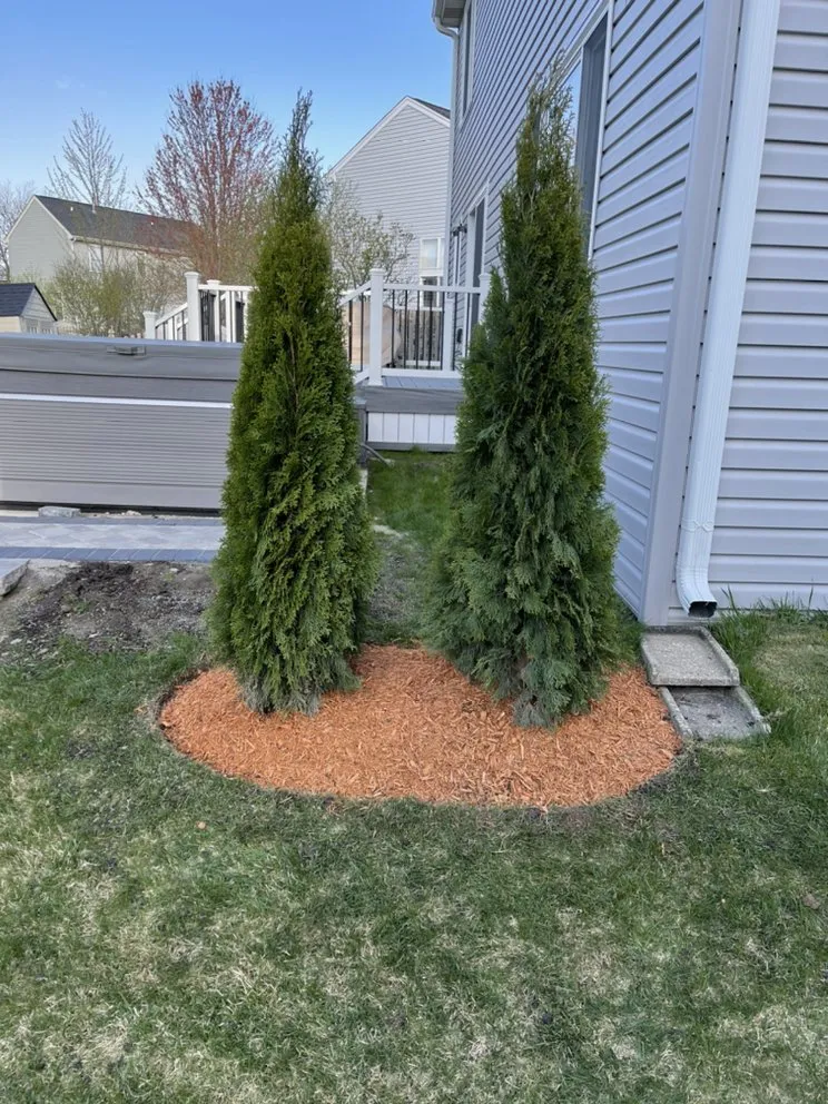 Affordable yard maintenance for year-round maintenance in Round Lake Park, IL by Lawn & Order Hardscaping