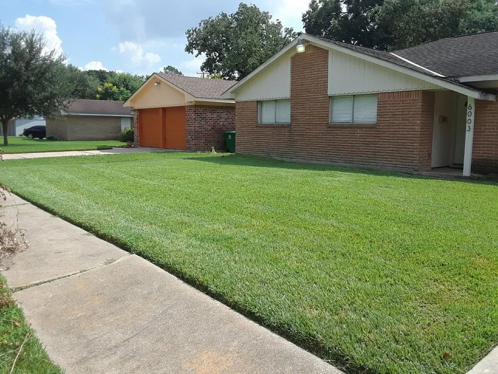 Expert lawn care service near you across Houston, TX - Lawn & Order