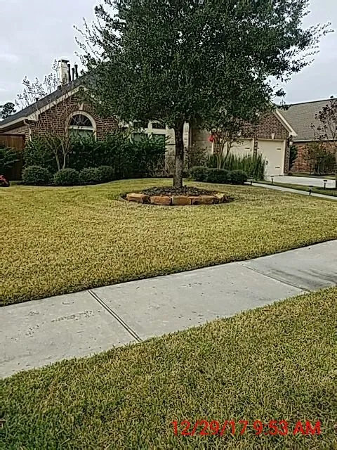 Professional yard maintenance experts serving Houston, TX - Lawn & Order