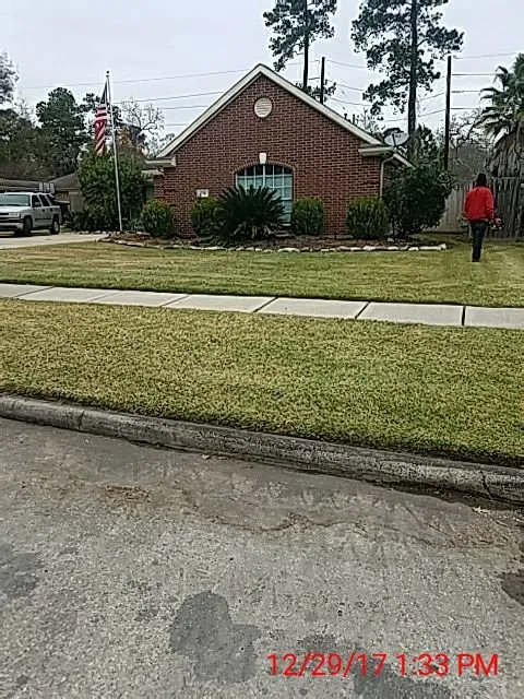 Reliable yard cleanup service experts serving Houston, TX - Lawn & Order