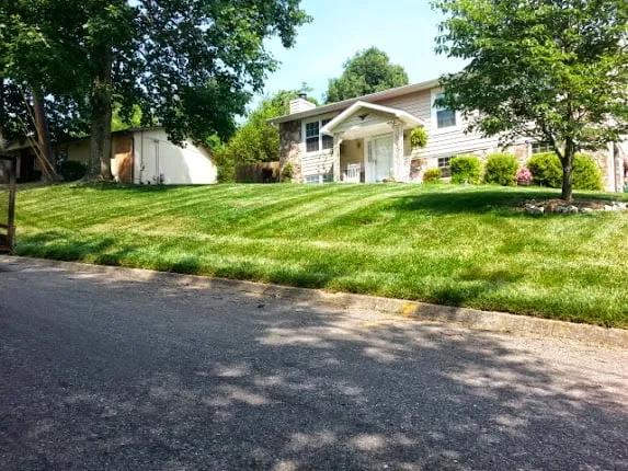 Local outdoor landscaping for beautiful yards in Knoxville, TN by Lawn & Order