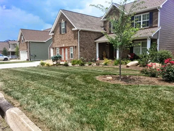 Local residential landscaping experts serving Knoxville, TN - Lawn & Order