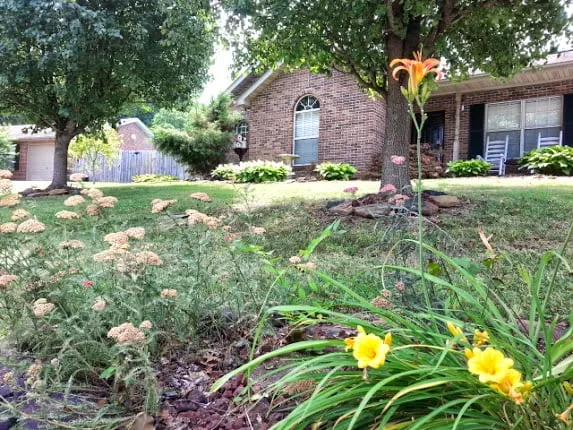 Custom landscaping services in Knoxville, TN by Lawn & Order