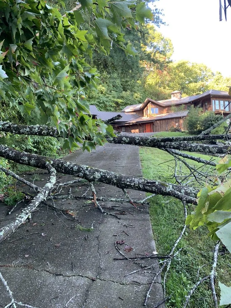 Local yard cleanup service for residential properties in Knoxville, TN by Lawn & Order