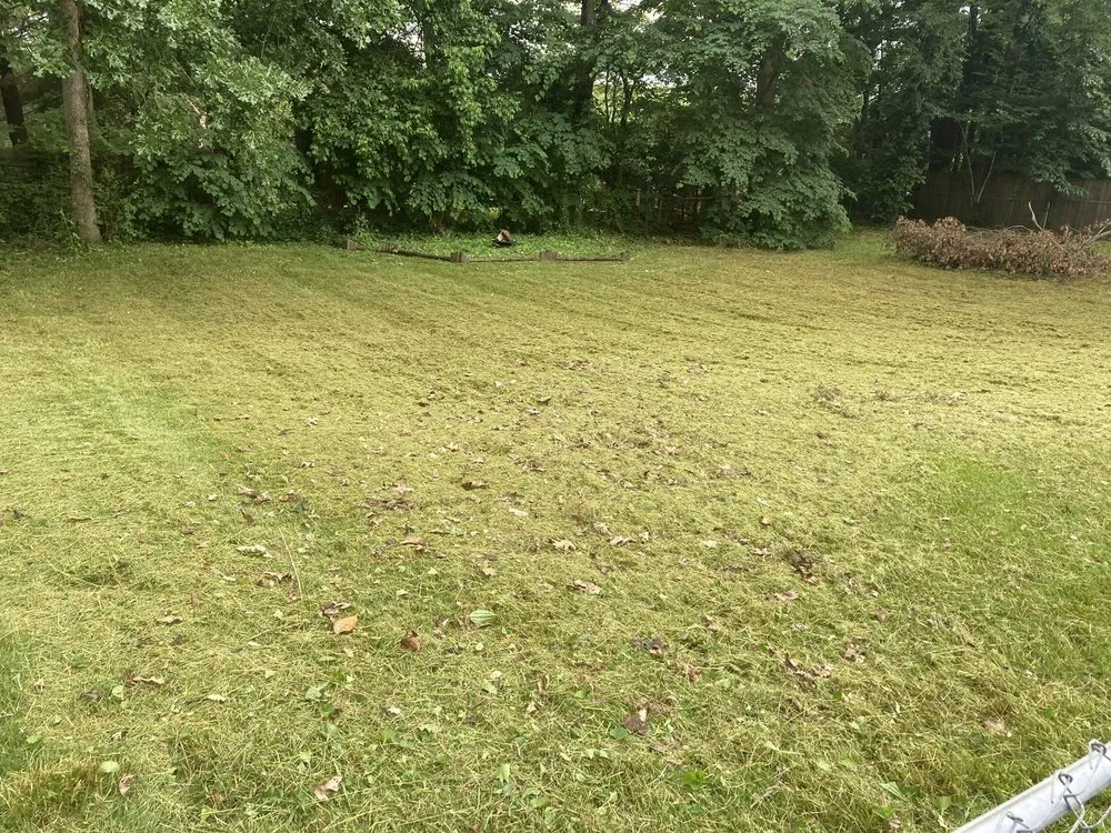 Reliable lawn mowing service in Knoxville, TN by Lawn & Order