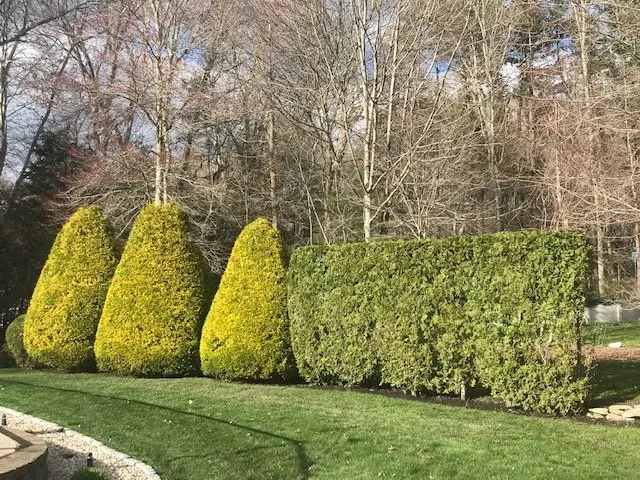 Top-rated landscape design for year-round maintenance across Acushnet, MA - Lawn & Order Land Design