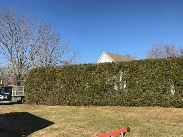 Reliable landscape design in Acushnet, MA - Lawn & Order Land Design