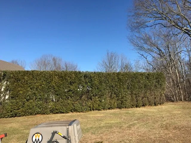 Local lawn mowing service for beautiful yards in Acushnet, MA by Lawn & Order Land Design