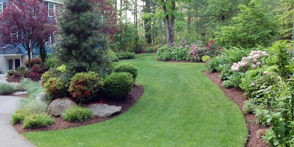 Local yard maintenance experts serving Grovetown, GA - Lawn & Order Landscape