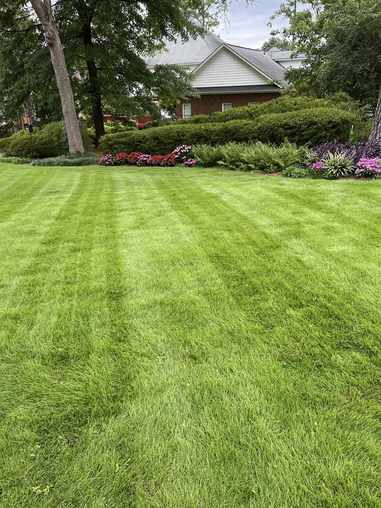 Professional landscaping services in Grovetown, GA - Lawn & Order Landscape