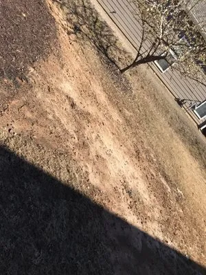 Lawn & Order Landscaping Logo