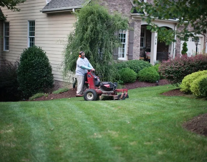 Expert yard cleanup service experts serving Cary, NC - Lawn & Order Landscaping