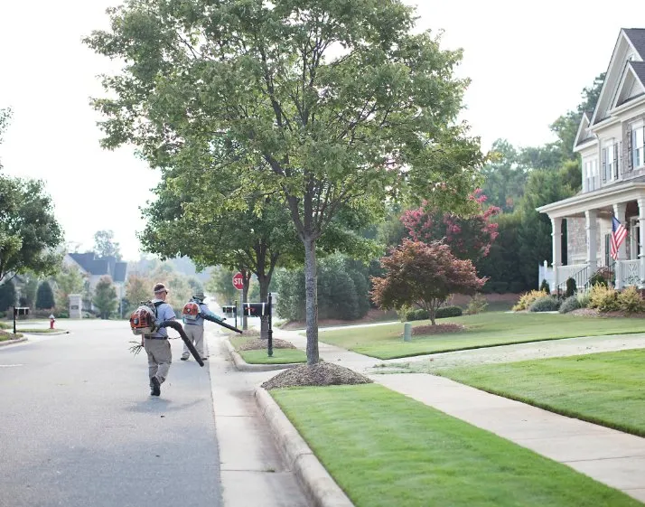 Affordable landscape design for beautiful yards across Cary, NC - Lawn & Order Landscaping