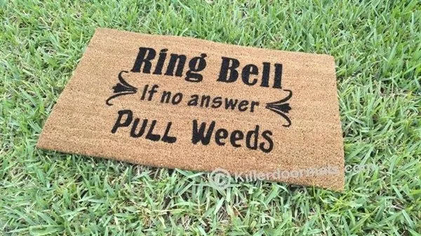 Trusted landscape design in Cary, NC by Lawn & Order Landscaping