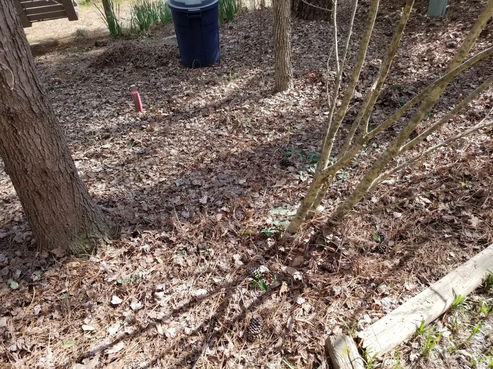 Expert lawn mowing service for homes in Cary, NC by Lawn & Order Landscaping