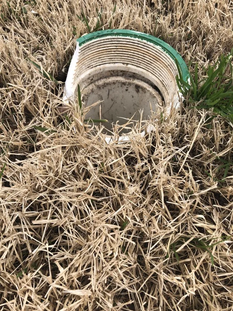 Custom landscape design experts serving Cary, NC - Lawn & Order Landscaping