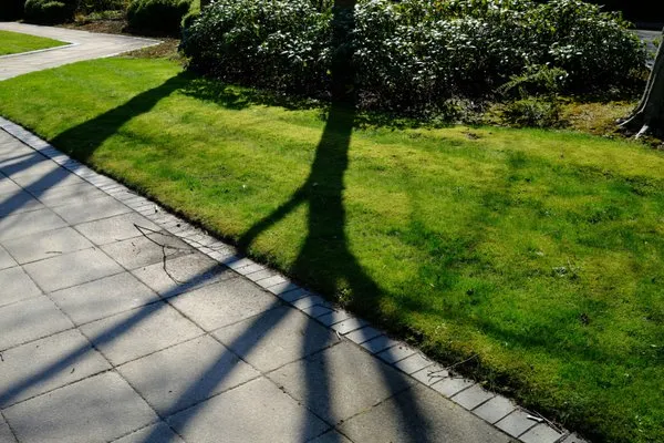 Lawn & Order Landscaping Logo