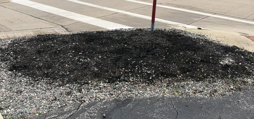 Affordable yard cleanup service in Mentor, OH by Lawn & Order Landscaping