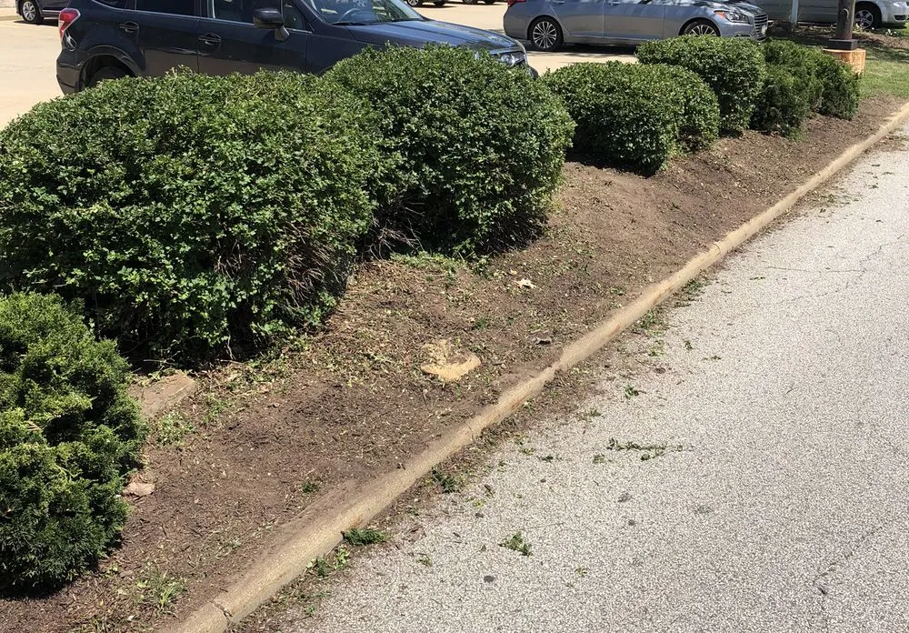 Affordable residential landscaping for year-round maintenance in Mentor, OH by Lawn & Order Landscaping