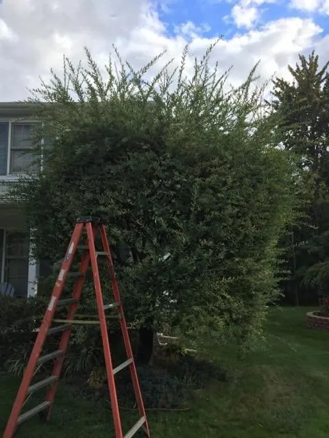 Local outdoor landscaping experts serving Mentor, OH - Lawn & Order Landscaping