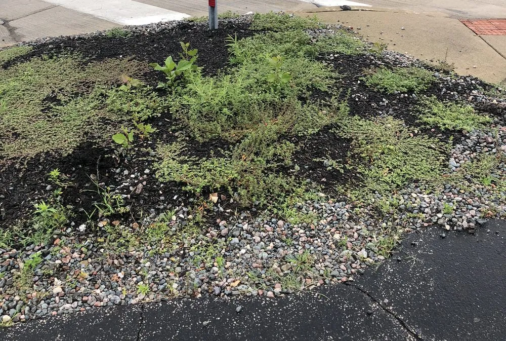 Trusted garden landscaping for residential properties across Mentor, OH - Lawn & Order Landscaping