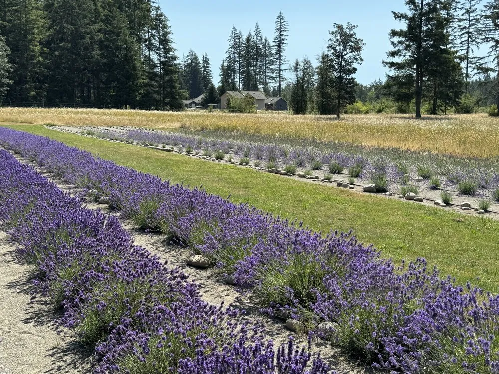 Reliable landscaping services in Rainier, WA by Lawn & Order Landscaping