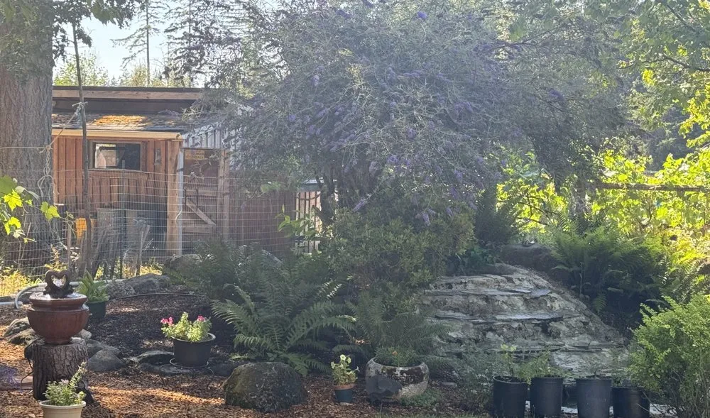 Affordable yard maintenance in Rainier, WA - Lawn & Order Landscaping