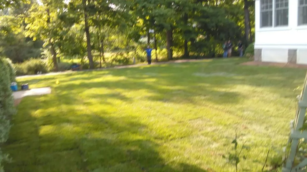 Trusted yard cleanup service in Savannah, GA - Lawn & Order Landscaping