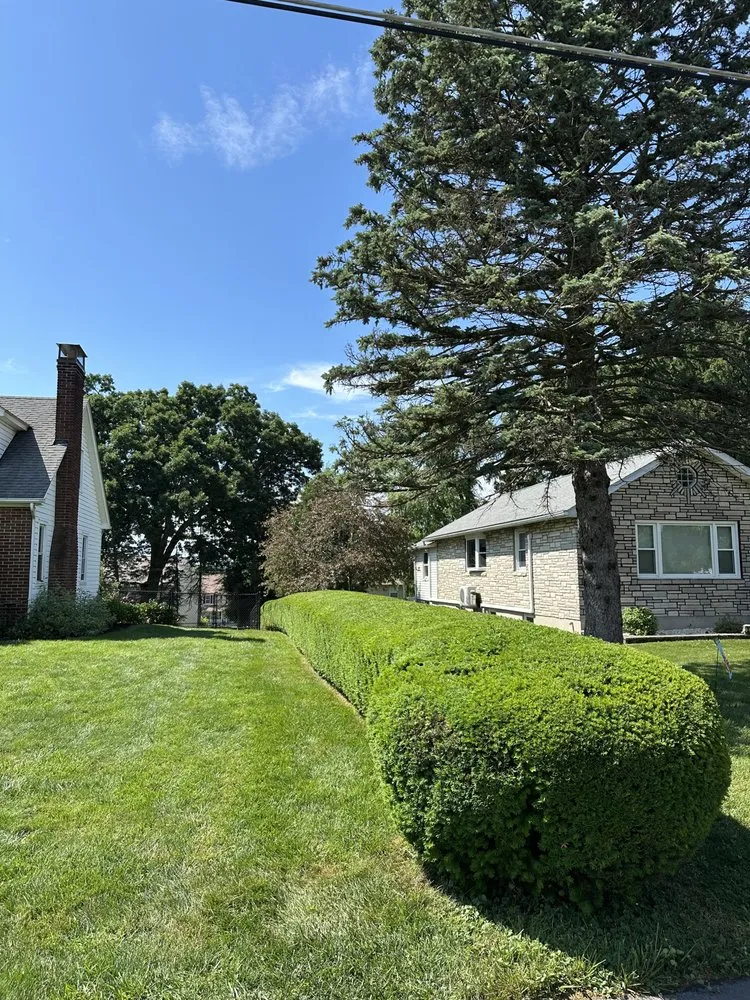 Local lawn mowing service for homes in Easton, PA by Lawn & Order Landscaping Services