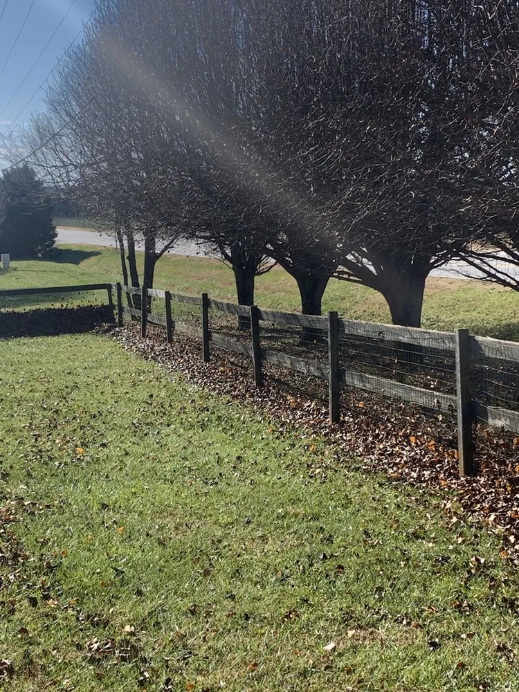Reliable yard cleanup service experts serving Winston-Salem, NC - Lawn & Order Landscaping
