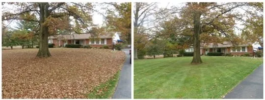 Top-rated residential landscaping in Winston-Salem, NC by Lawn & Order Landscaping