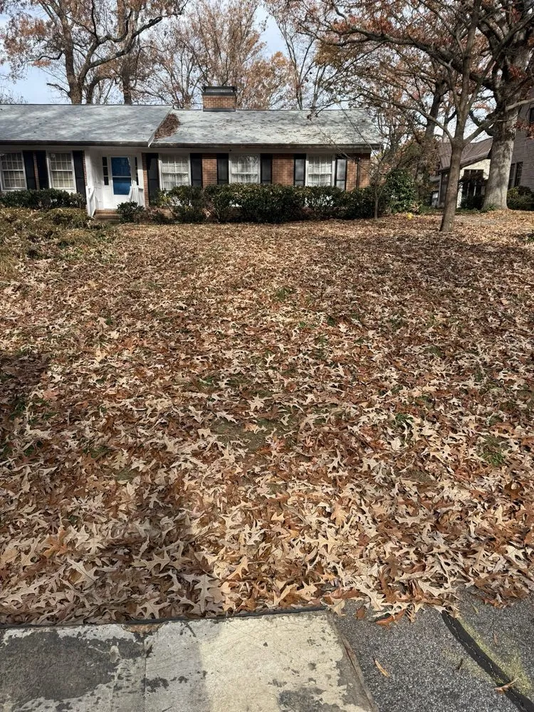 Expert landscaping services near you across Winston-Salem, NC - Lawn & Order Landscaping