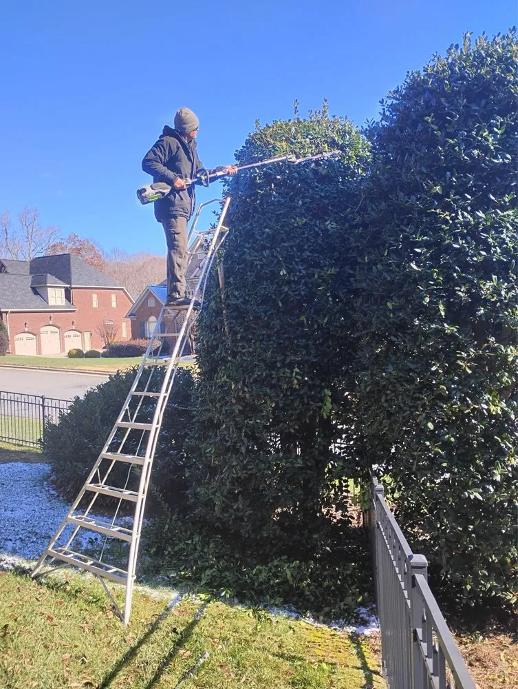 Trusted lawn care service in Winston-Salem, NC - Lawn & Order Landscaping