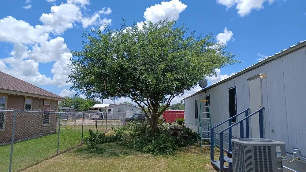 Local lawn mowing service in Weslaco, TX by Lawn & Order Lawn Care Service