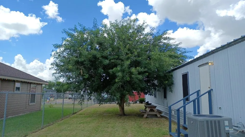 Expert garden landscaping experts serving Weslaco, TX - Lawn & Order Lawn Care Service