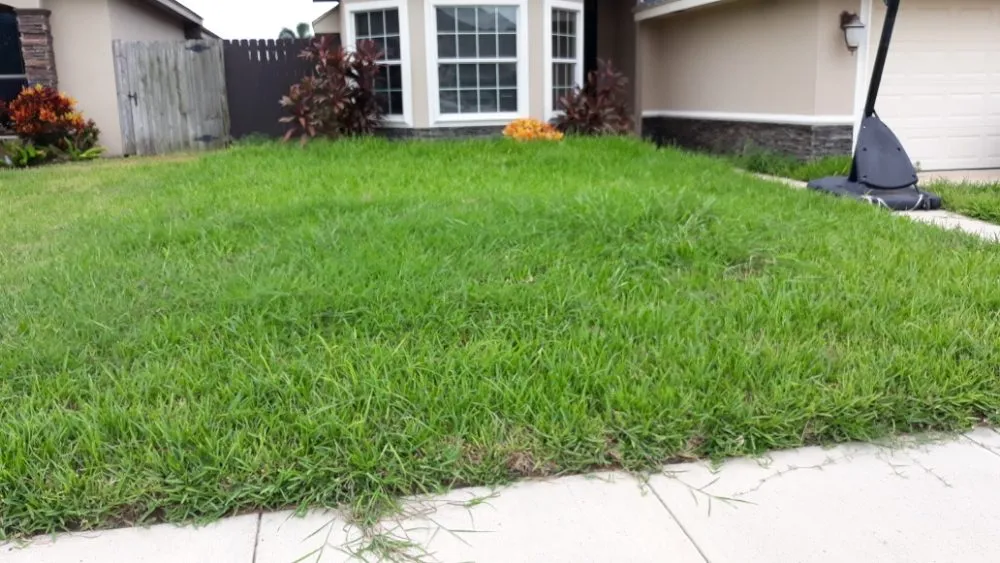 Local yard maintenance for outdoor upgrades in Weslaco, TX by Lawn & Order Lawn Care Service