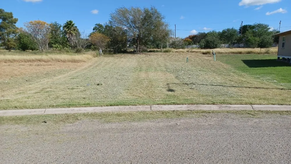 Top-rated yard cleanup service for outdoor upgrades across Weslaco, TX - Lawn & Order Lawn Care Service